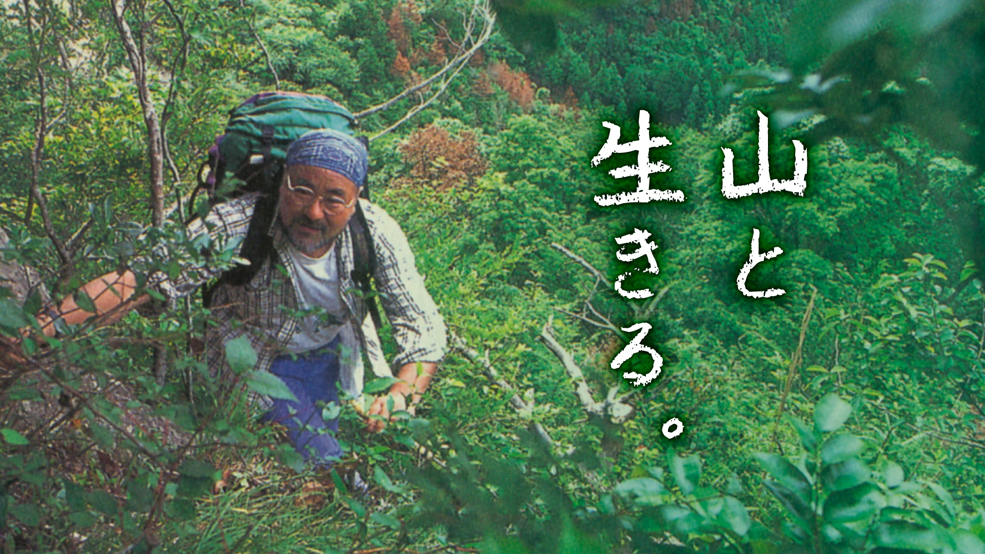 遠藤ケイ 公式ウェブサイト